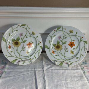 Fitz & Floyd Petite Fleur dinner plate pair
